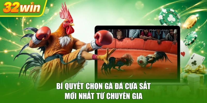 Bí quyết chọn gà đá cựa sắt