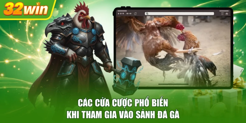 Các cửa cược phổ biến khi tham gia vào sảnh đá gà