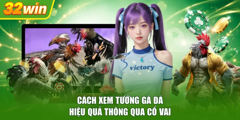 Cách xem tướng gà đá hiệu quả thông qua cổ vai 