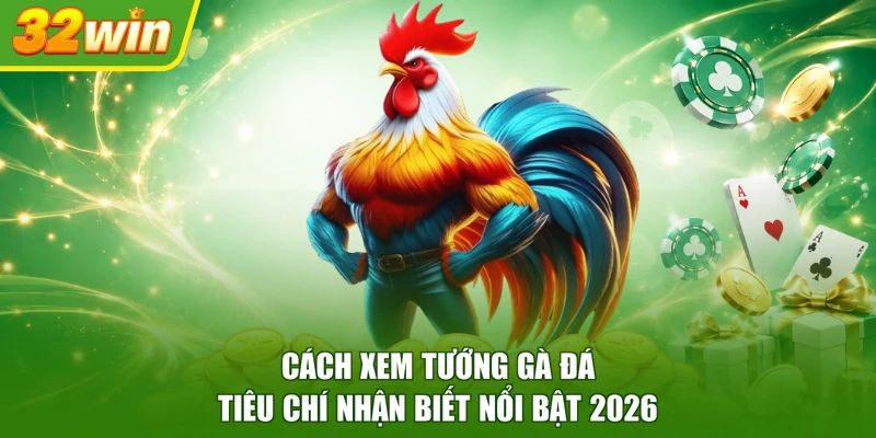 Cách xem tướng gà đá