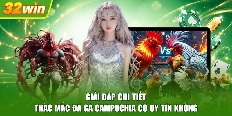 Giải đáp chi tiết thắc mắc đá gà Campuchia có uy tín không