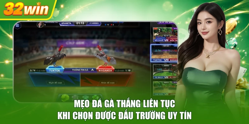Mẹo đá gà thắng liên tục khi chọn được đấu trường uy tín